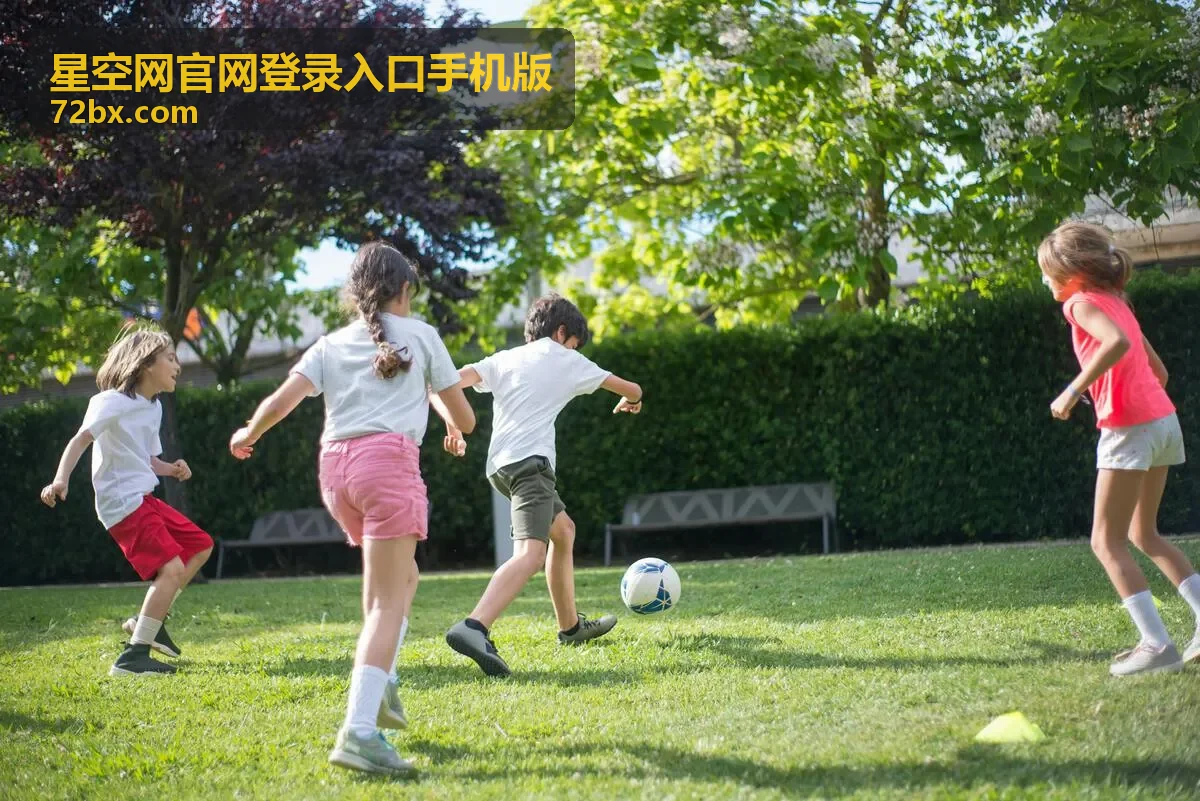 星空网登录状态与多设备管理