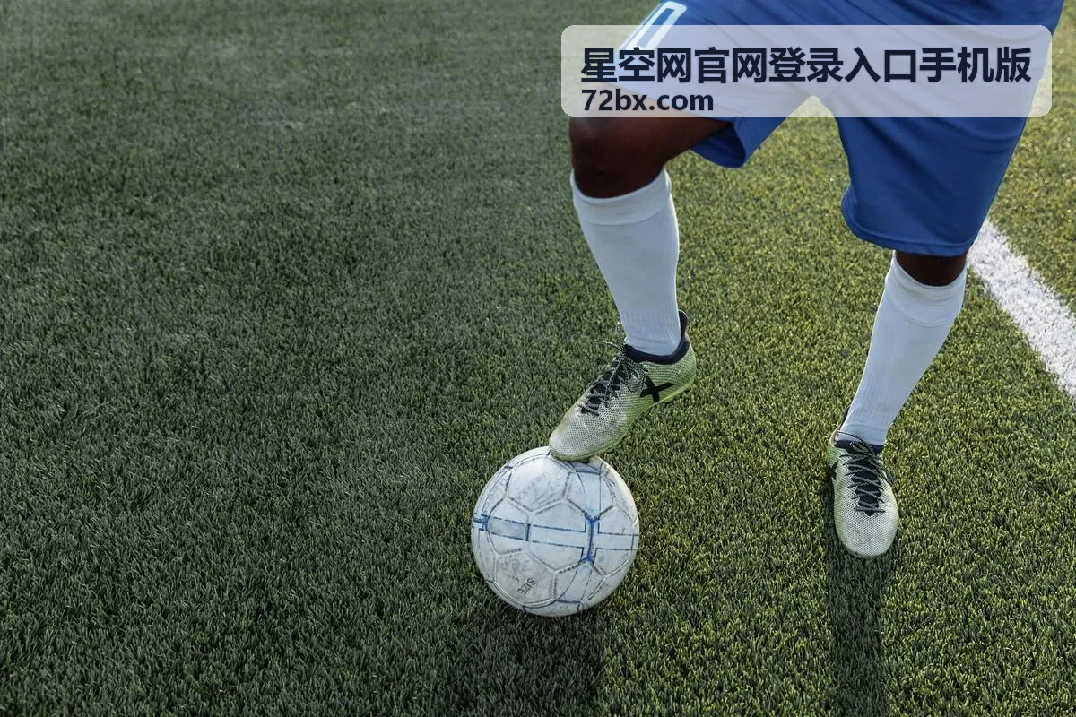 星空网手机版账号安全保护界面