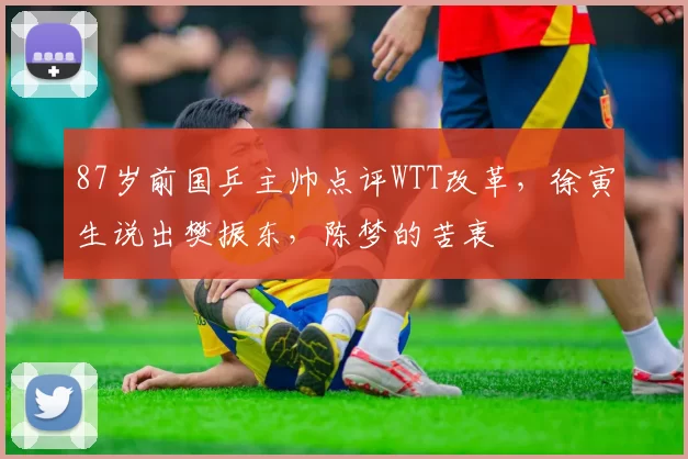 87岁前国乒主帅点评WTT改革，徐寅生说出樊振东，陈梦的苦衷