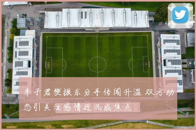 李子君樊振东分手传闻升温 双方动态引关注感情近况成焦点