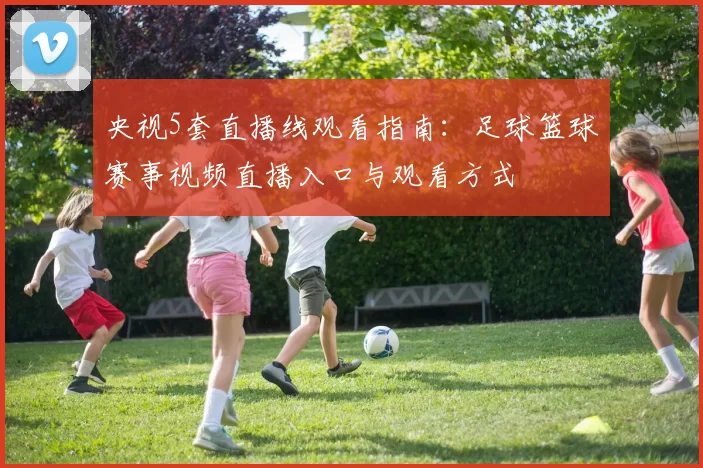 央视5套直播线观看指南：足球篮球赛事视频直播入口与观看方式