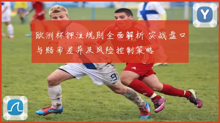 欧洲杯押注规则全面解析 实战盘口与赔率差异及风险控制策略