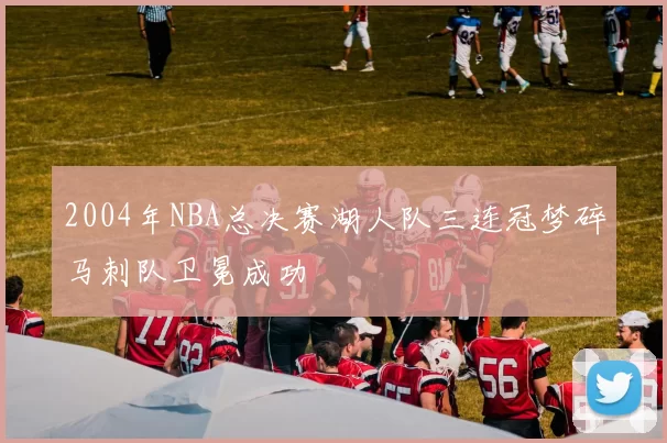 2004年NBA总决赛湖人队三连冠梦碎马刺队卫冕成功