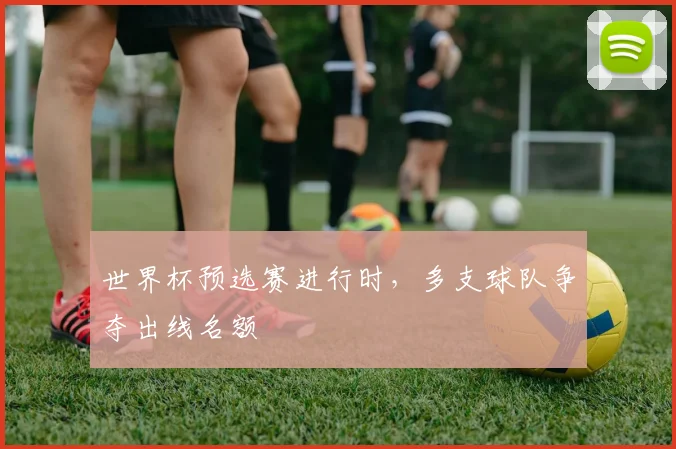 世界杯预选赛进行时，多支球队争夺出线名额