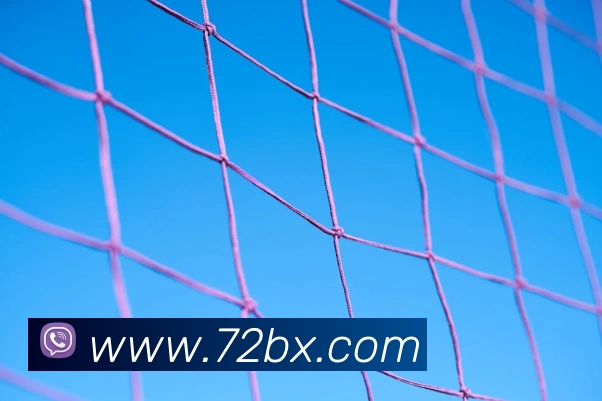 九游网页版入口官网品牌故事